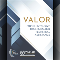 Image for VALOR Focus-Intensive Training (FIT) Course Catalog 2024