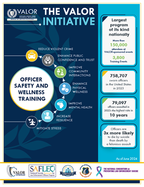 Image for VALOR Initiative Infographic